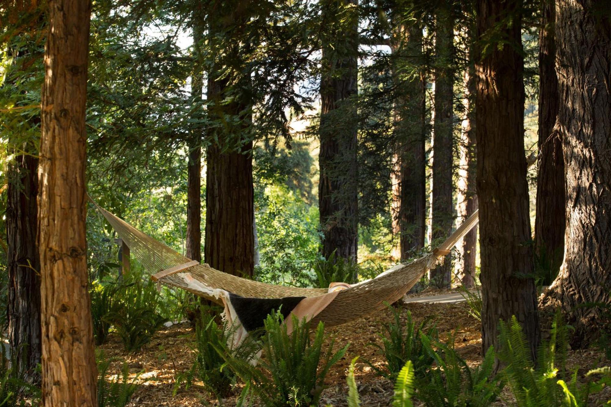 Alila Ventana Big Sur - Inclusive Resort (Adults Only) Екстер'єр фото